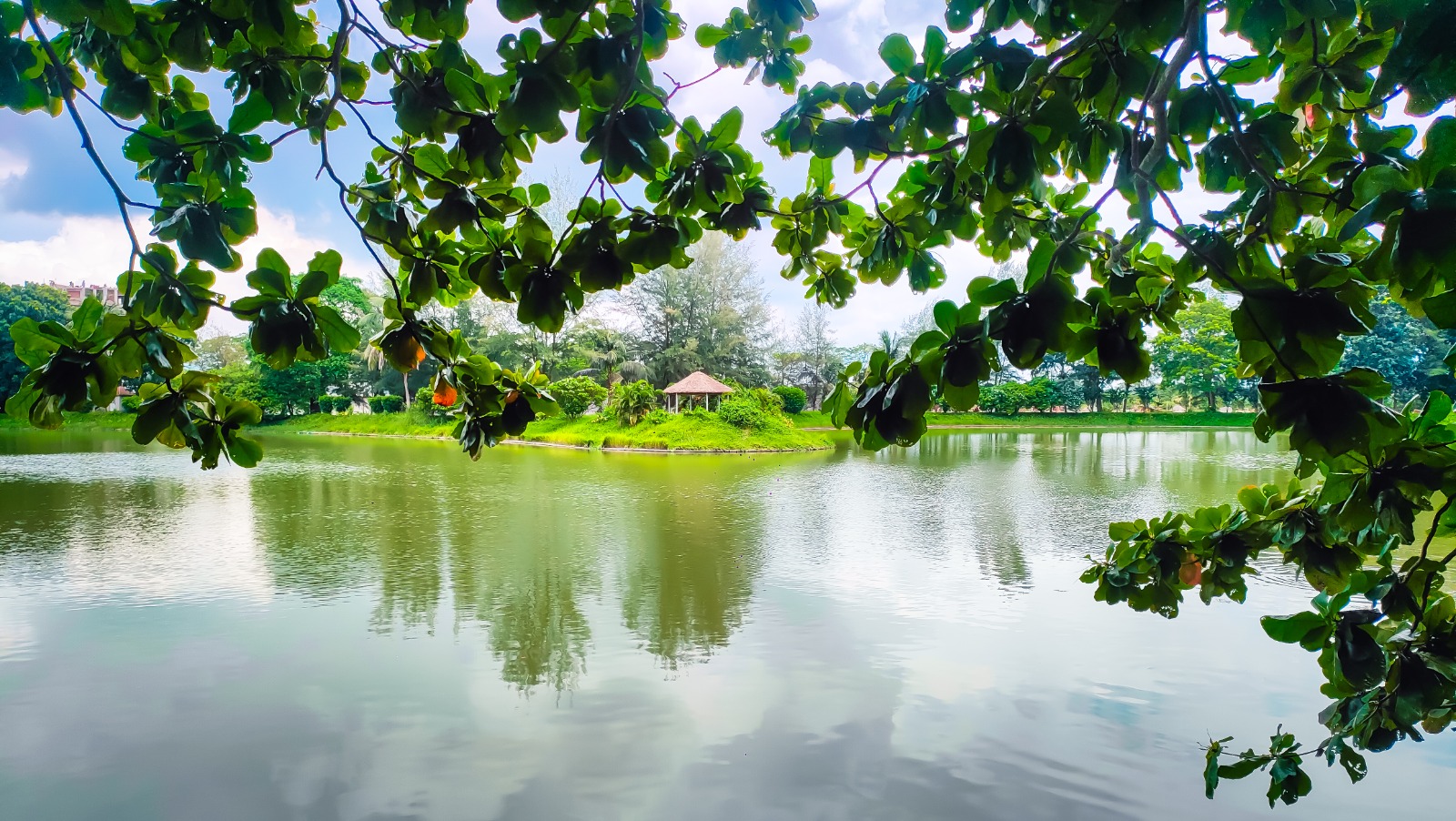 Beautiful Campus