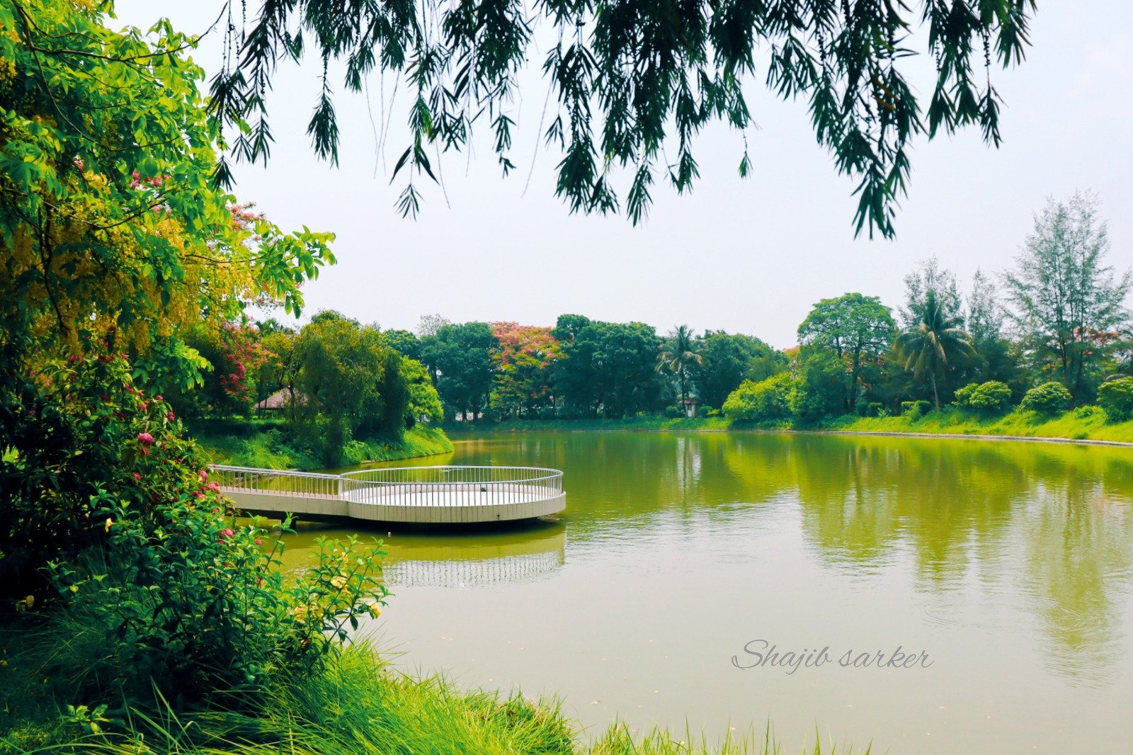 Beautiful Campus